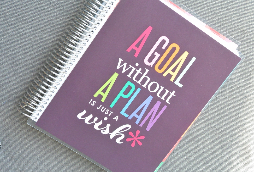 Ready to have the most productive year of your life? Today I'm talking about how to use a daily planner to help you organize your goals prioritize your tasks.